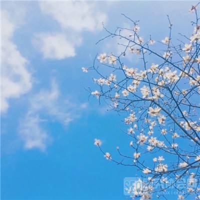 城池攻坚战变态版下载