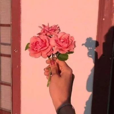 阿罗拉之战百度官方版下载