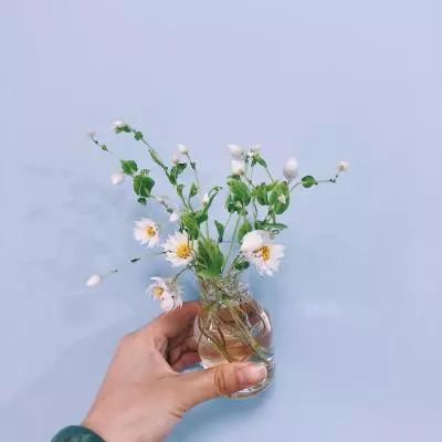 绝地莽荒手游变态版下载
