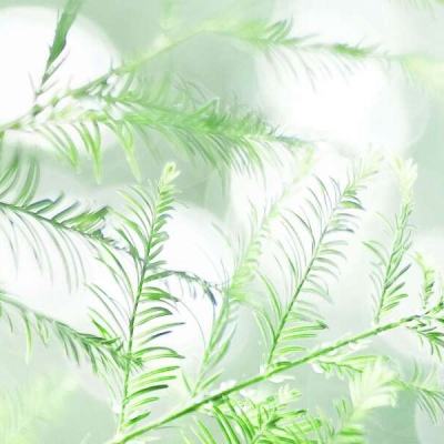 封妖名剑传最新版
